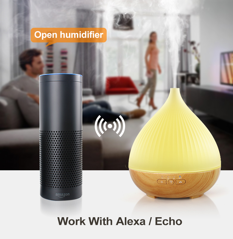 ޹ʪǶAlexa г