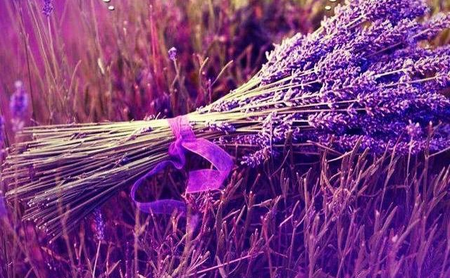 ʪҲܳζ ЧȻȾã