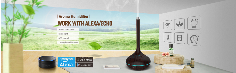 AlexaܲƷӲ ܼҾ̬ϵͳ